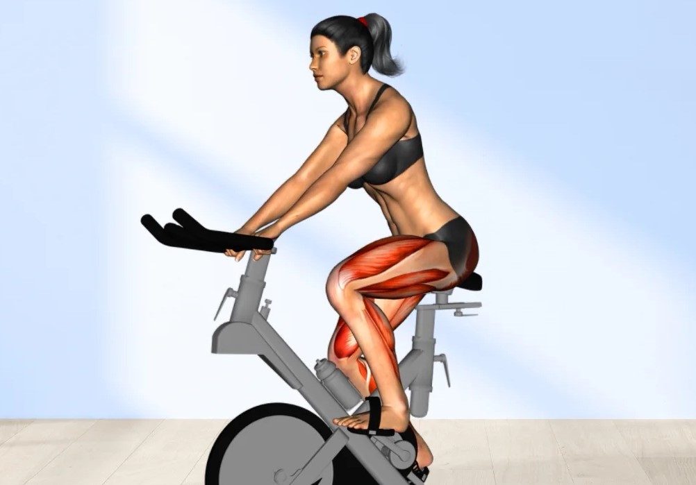 Peso Hacer Bicicleta Estacionaria Bicicleta Fija Adelgaza